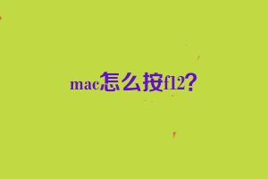 mac怎么按f12？