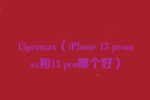 13promax（iPhone 13 promax和13 pro哪个好）