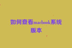如何查看macbook系统版本