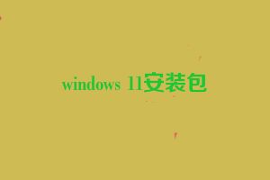 windows 11安装包