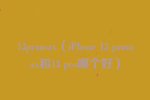 13promax（iPhone 13 promax和13 pro哪个好）