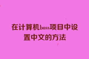 在计算机boss项目中设置中文的方法