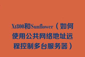 Xt800和Sunflower（如何使用公共网络地址远程控制多台服务器）