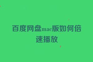 百度网盘mac版如何倍速播放
