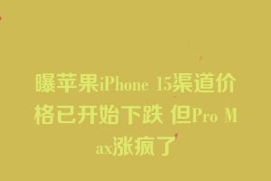 曝苹果iPhone 15渠道价格已开始下跌 但Pro Max涨疯了