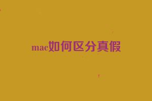 mac如何区分真假